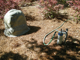 Click to View Larger Image